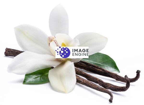 private label skin care vanilla orchid