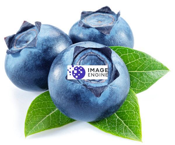 private label skin care blueberry peel