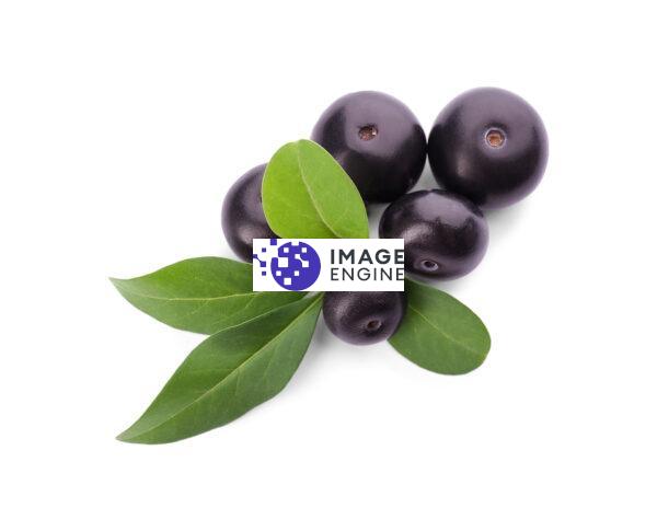 acai berries with leaves private label skin care