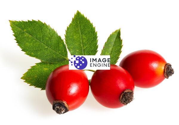 rosehip berries private label skin care